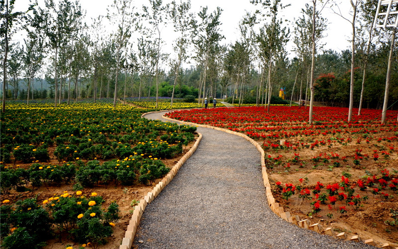 景點門票 濟南植物園團體票 【景 點簡介】濟南植物園位於濟南市東郊